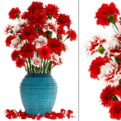 Bouquet of flowers red Carnation