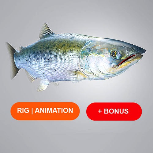 Salmon Plus Animation