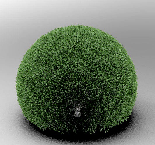 Spherical Tree