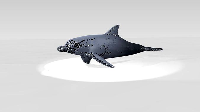 Dolphin Voronoi