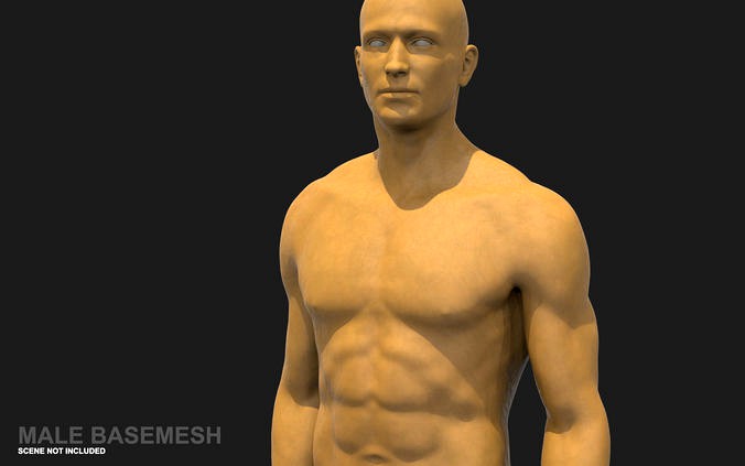 Male Basemesh