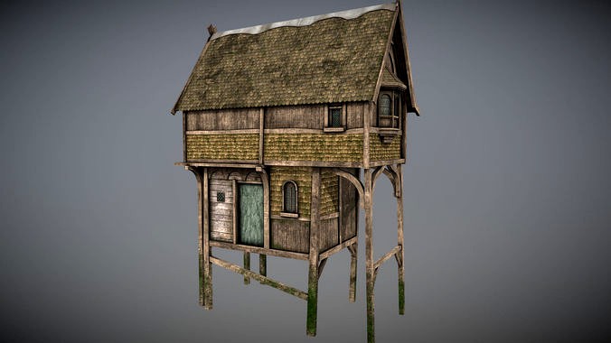 Medieval lake village - House 1