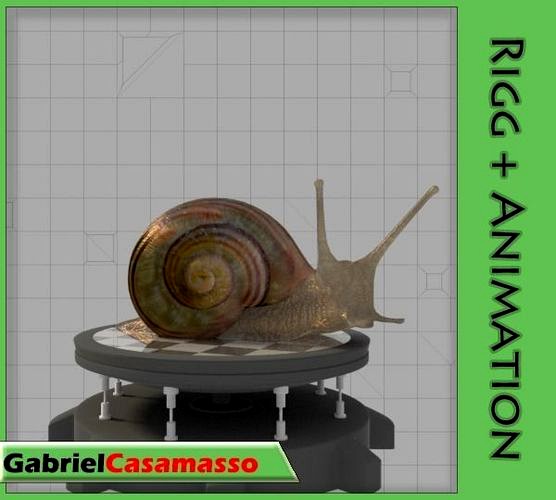 Snail