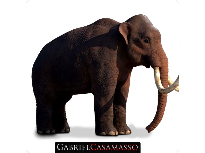 Columbian Mammoth - Mammuthus Columbi