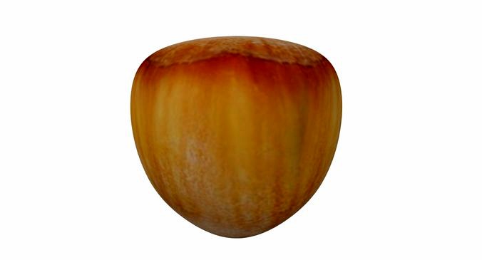 Hazelnut 3D model