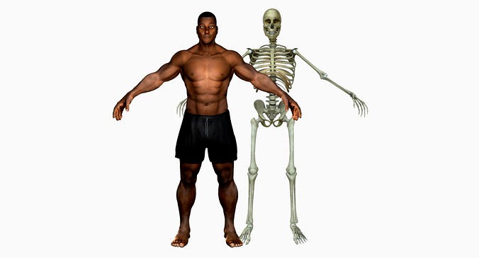 African American Male With Skeleton Rigged