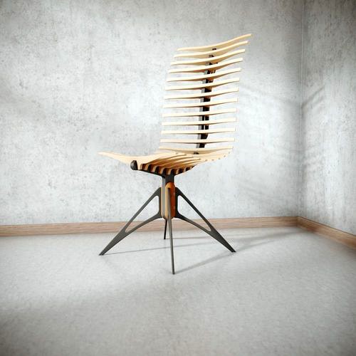 Wooden Skeleton Chair