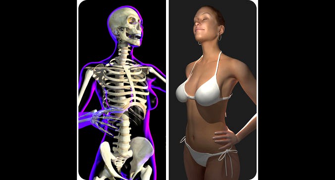 Full Female Body X-Ray With Skeleton