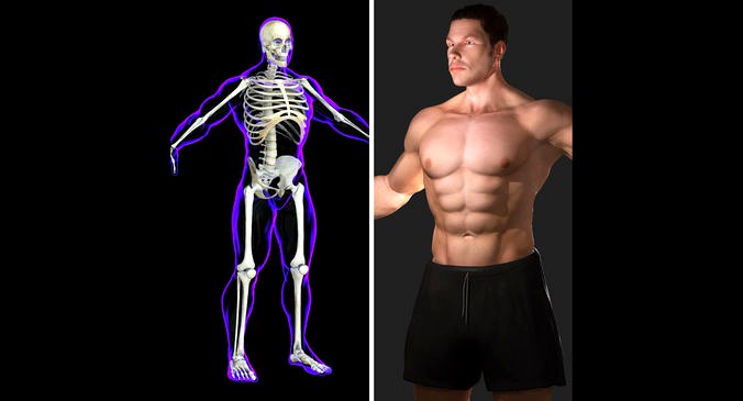 Full Male Body X-Ray With Skeleton