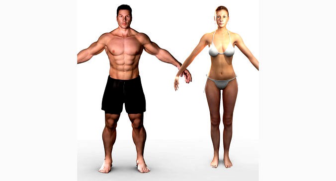 Male and Female Characters Unrigged