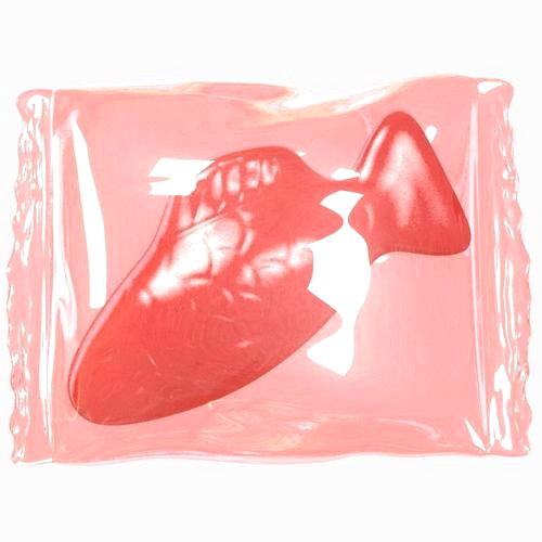 Wrapped Red Fish 3D