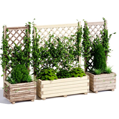 Planter with lattice