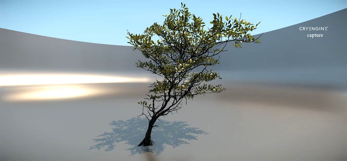 Tree micro with leaves