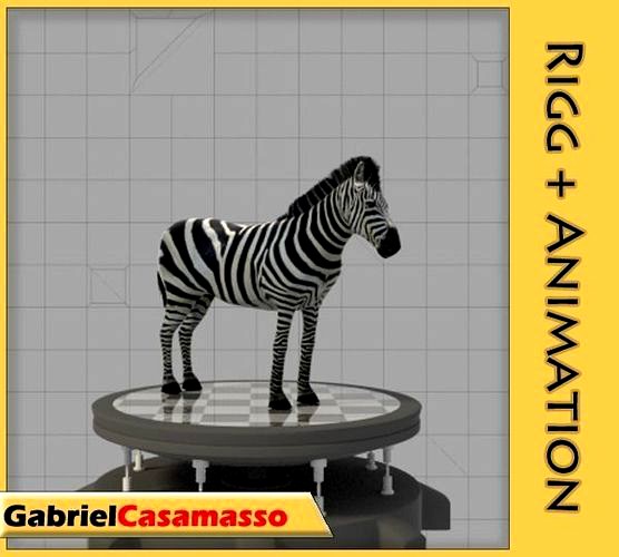 Zebra
