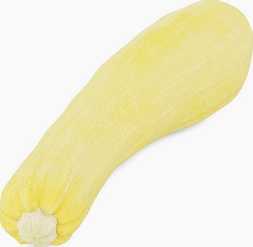 Yellow Squash Vegetable