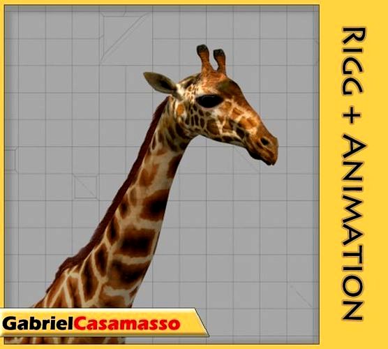 Giraffe