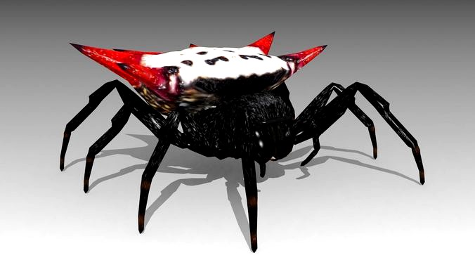 Spinybacked Spider