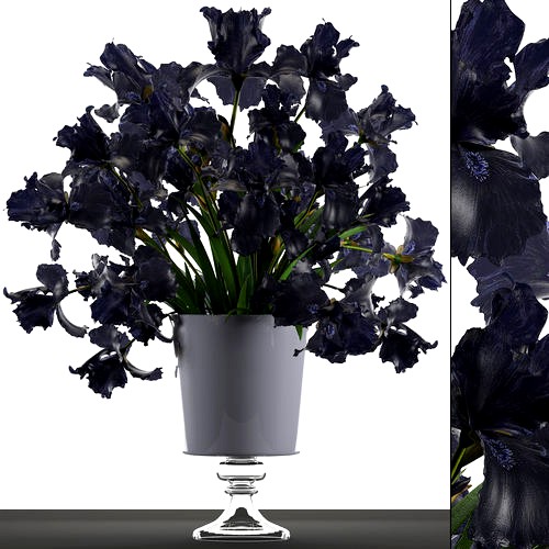 Bouquet of black flowers