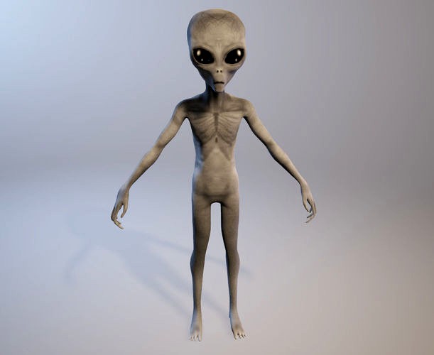 Grey Alien - Zeta Reticulian 3D - OBJ-FBX