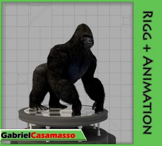 Gorilla