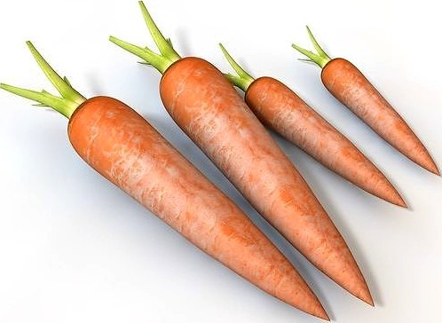 Carrot