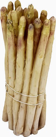 White Asparagus