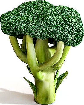 Broccoli