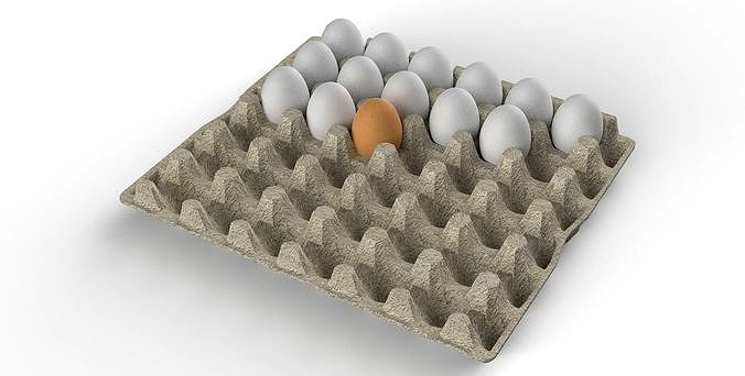 Egg Carton