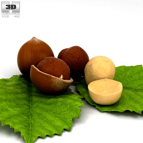 Hazelnut