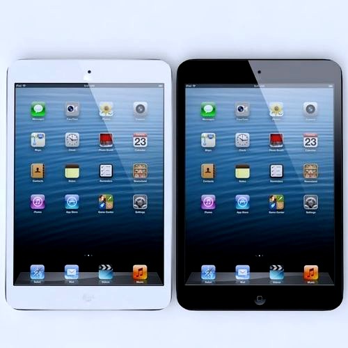 ipad Mini White and Black