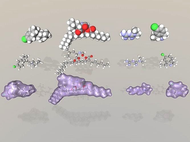 Collection of anti-obesity drug molecules