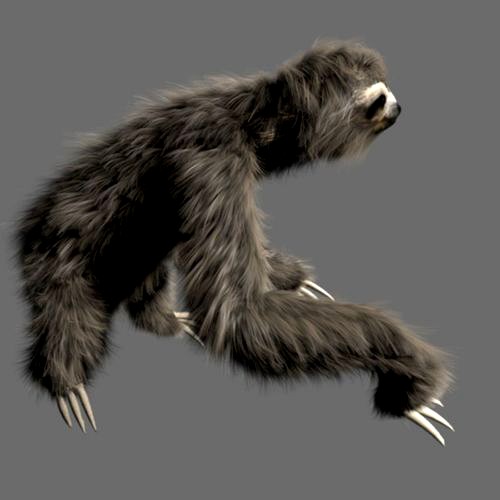 Sloth