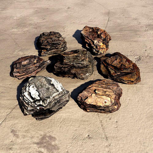 Bark Chips 3D Scan