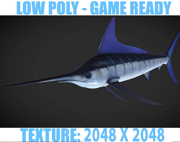 Swordfish