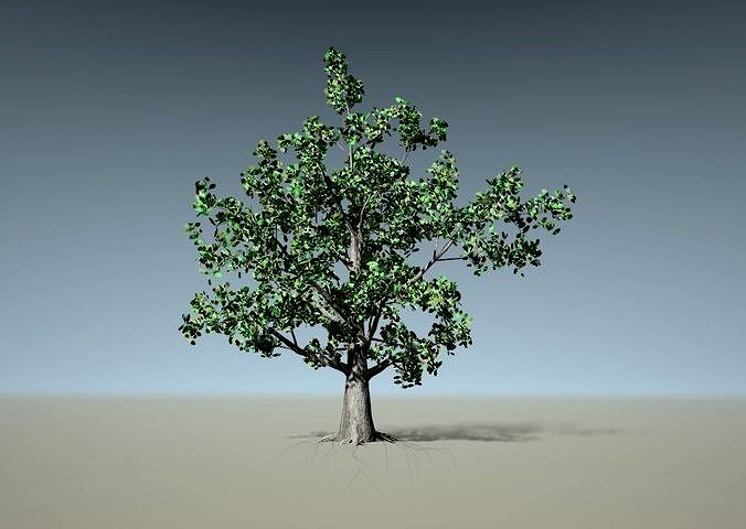 Tree model