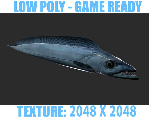 Sea Eel