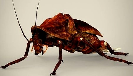 Fantasy Cockroach