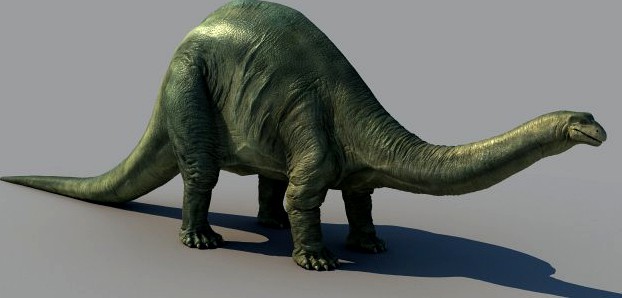 Brontosaurus 3D Model