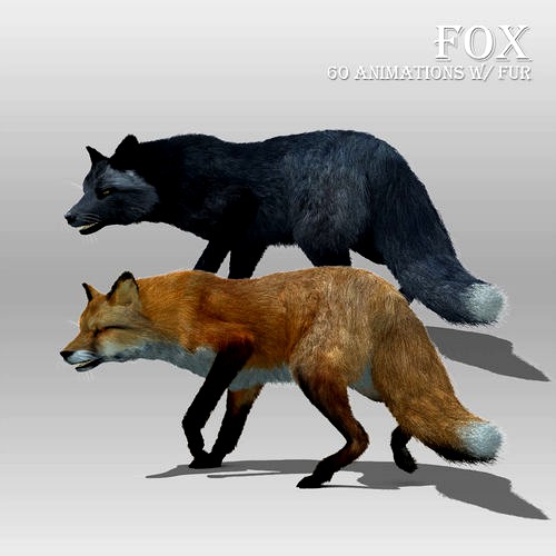 Red and Black Fox Animated with Fur