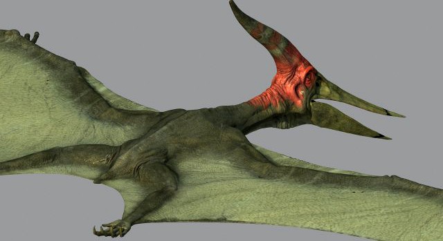 Pterodon 3D Model