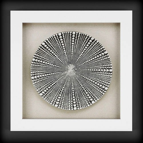 Picture Frames