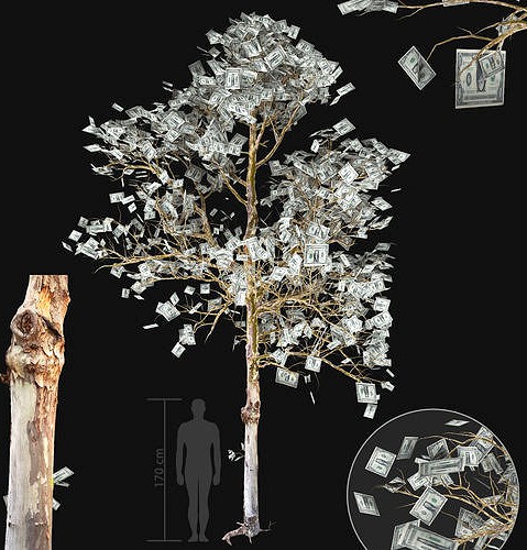 Money Tree