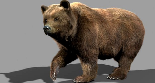 Bear 3D Model