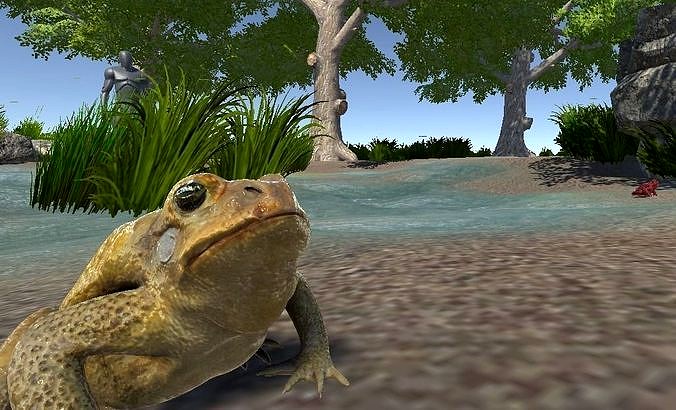 PBR Toad Animated