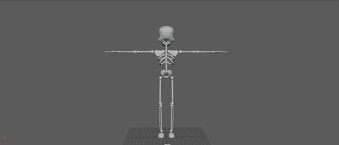 Skeleton