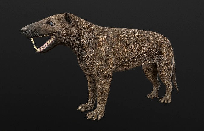 Hyaenodon horridus