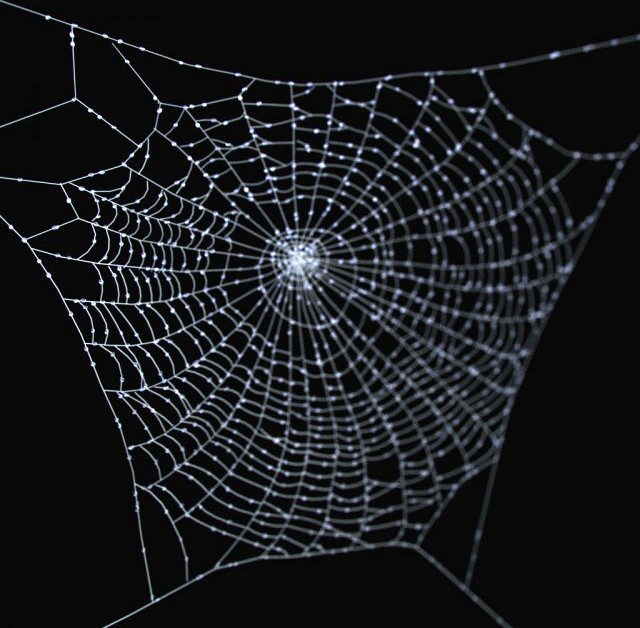 Spider Web 3D Model