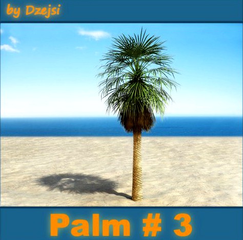 Palm  3 3D Model