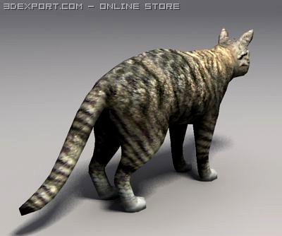 Cat 3D Model