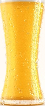 Professional Beer Glass Studio